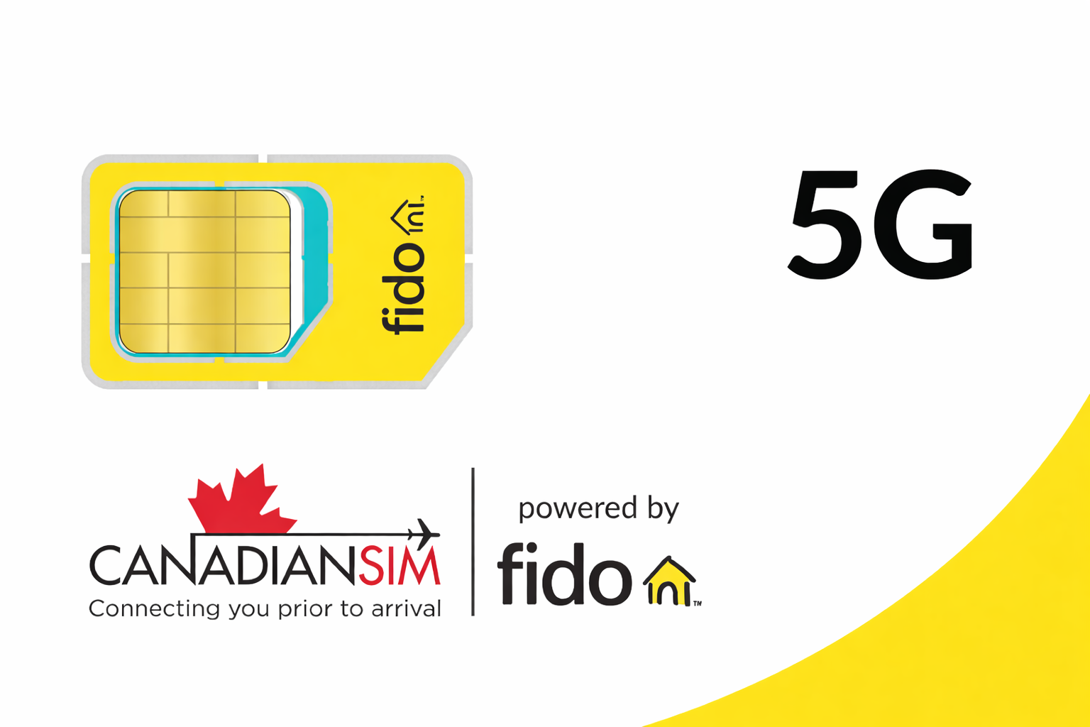 ChatGPT Image Mar 17, 2026, 02_23_32 AM